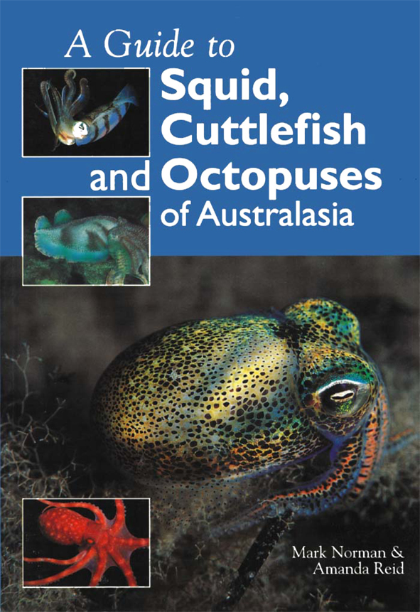 The cover image featuring a brightly coloured metalic toned octopus, against a grey ocean bead, with smaller images of cuttlefish and squid, with a pl