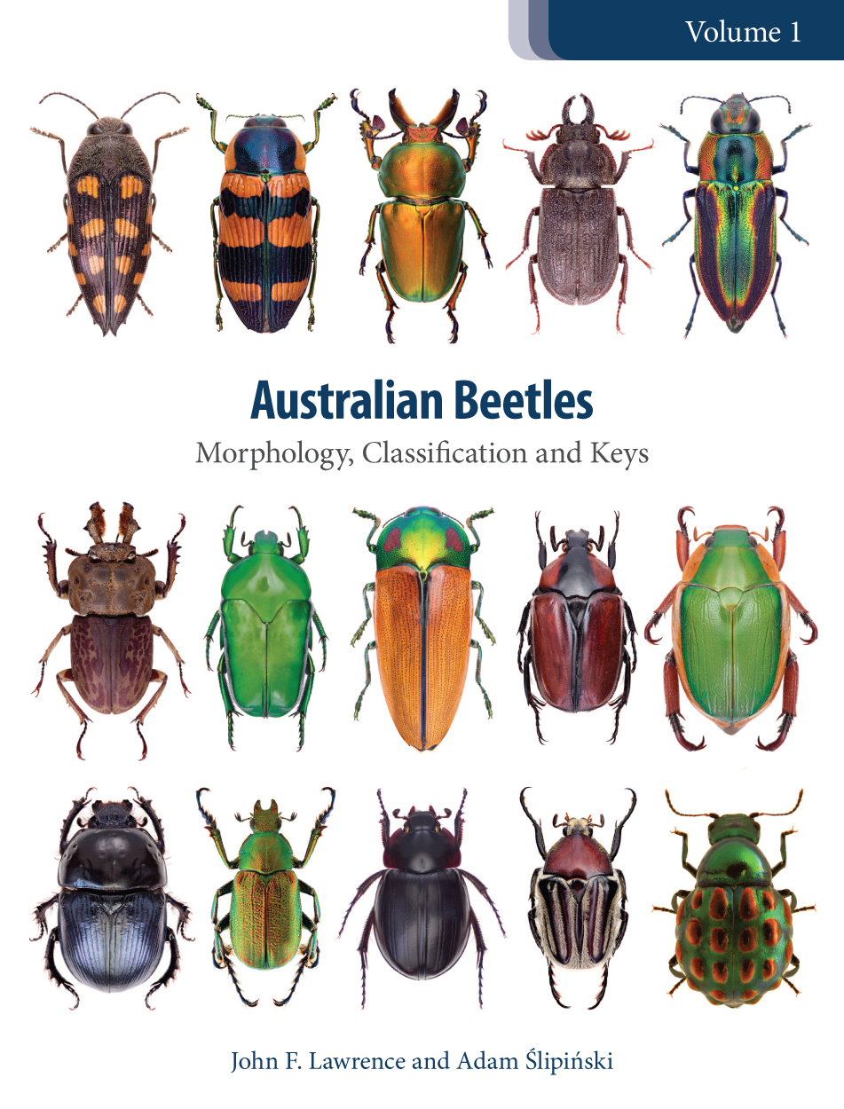 Cover of Australian Beetles Volume 1, featuring 15 beetles of various shapes, colours and sizes in neat rows of five against a plain white background.