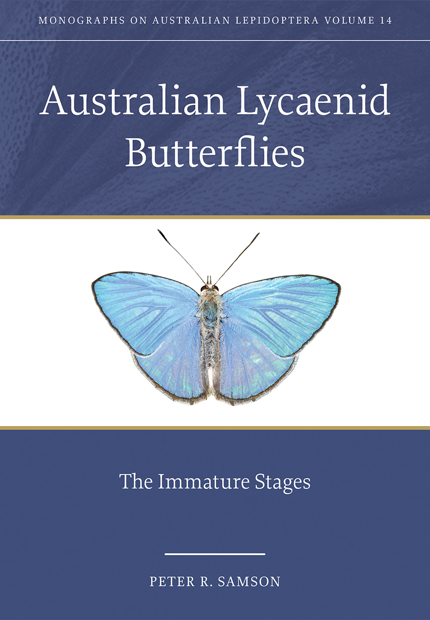 Cover of 'Australian Lycaenid Butterflies', featuring a butterfly with iridescent, pale blue wings with black fringes.