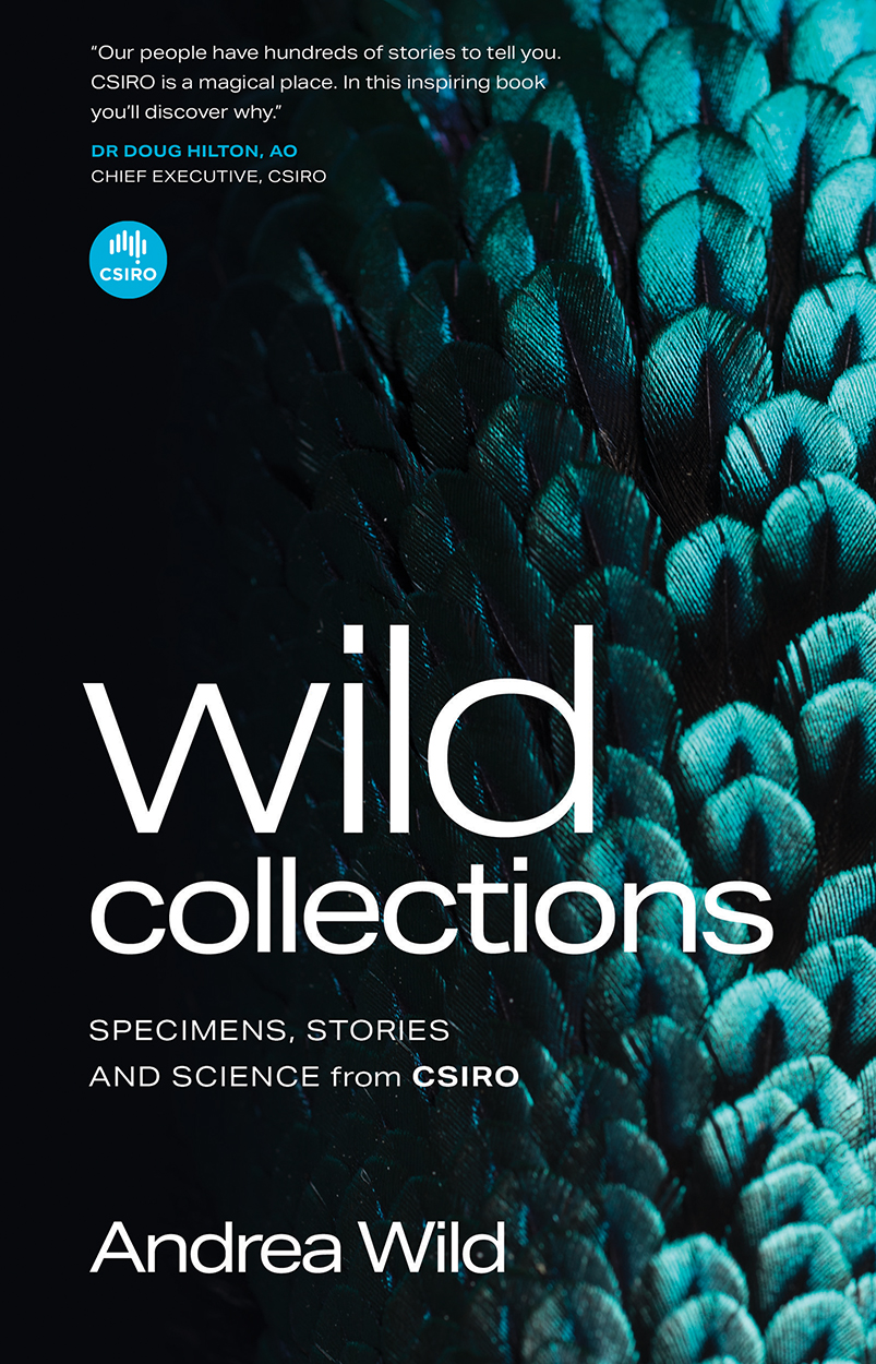 Cover of 'Wild Collections', featuring a striking photo of iridescent blue bird feathers.