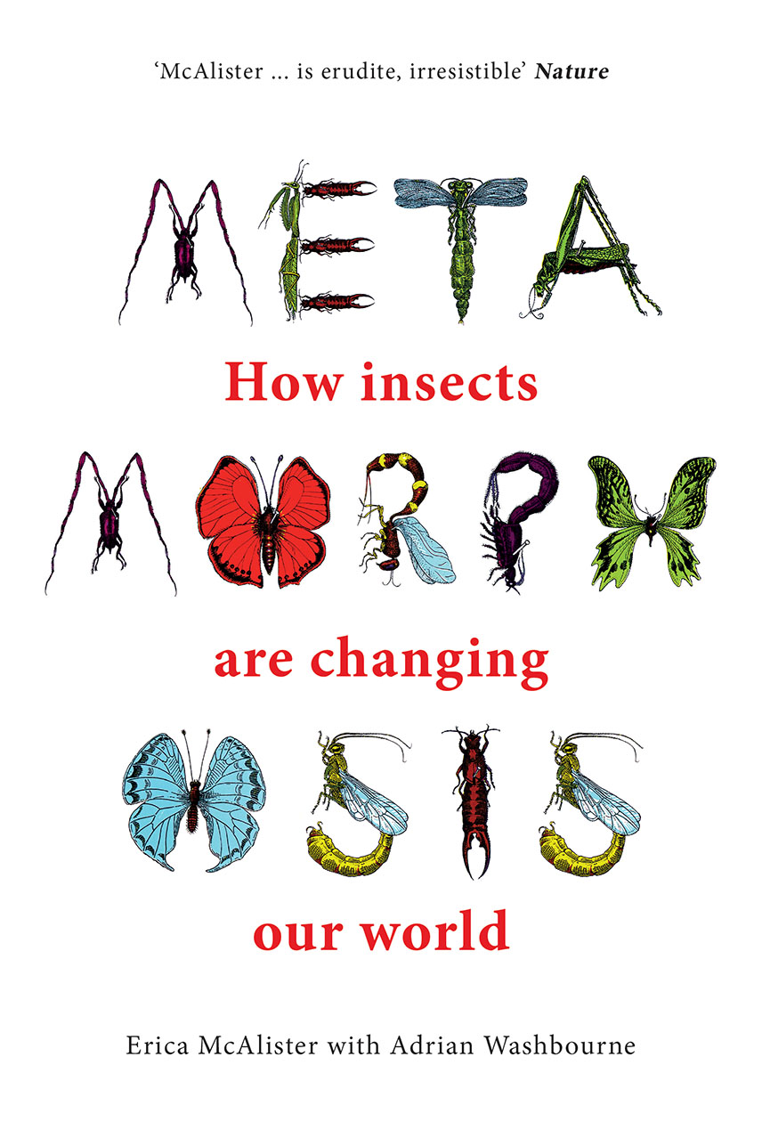 Cover of 'Metamorphosis', with a variety of insects used to shape the letters in the word 'METAMORPHOSIS'.