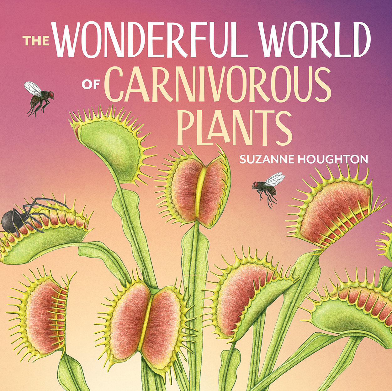 Cover of 'The Wonderful World of Carnivorous Plants', featuring an illustration of flies buzzing around a Venus flytrap.