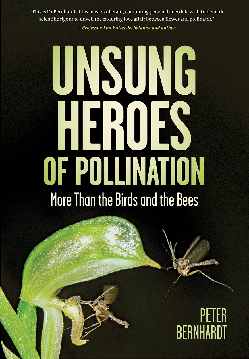 Cover of 'Unsung Heroes of Pollination', showing two fungus gnats flying to the cocked and ready lip petal of a greenhood orchid.