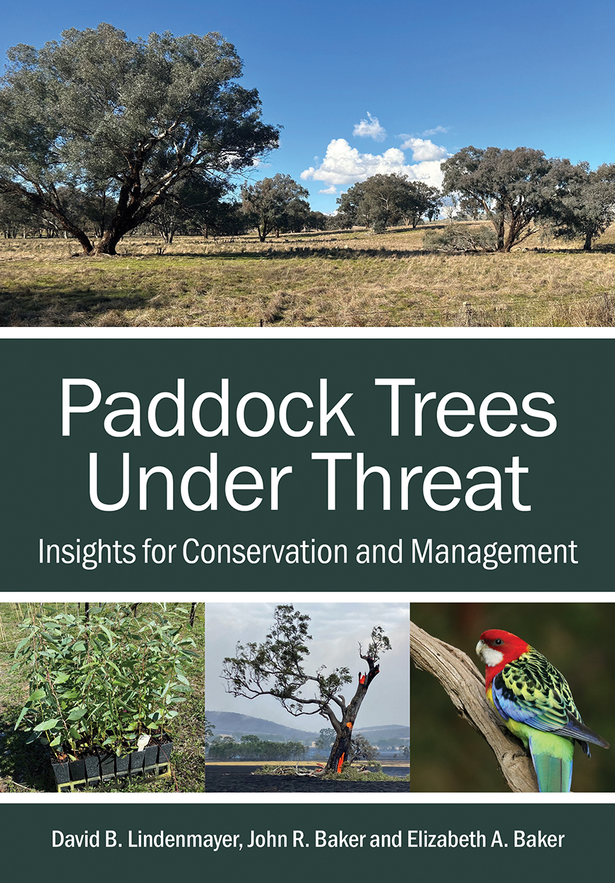 Cover of 'Paddock Trees Under Threat', featuring photos of a paddock with scattered mature shade trees,  tubestock of eucalyptus species, a large gum