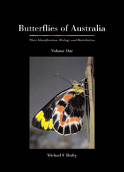 The cover image featuring a side view of a red, black and yellow butterfly, against an out of focus grey background, set into a plain black setting. The cover image featuring a side view of a red, black and yellow butterfly, against an out of focus grey background, set into a plain black setting.