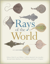 Cover of 'Rays of the World' featuring illustrations of eight different sp