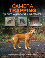 The cover has four photographs of animals captured by camera trapping: a background image of a dingo, and inset images of a quoll, feral pig and lynx. The cover has four photographs of animals captured by camera trapping: a background image of a dingo, and inset images of a quoll, feral pig and lynx.