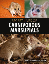 Cover of Secret Lives of Carnivorous Marsupials featuring three small marsupials, one with bared teeth Cover of Secret Lives of Carnivorous Marsupials featuring three small marsupials, one with bared teeth