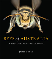 Cover of Bees of Australia featuring a macro photograph of a bee facing directly towards the reader Cover of Bees of Australia featuring a macro photograph of a bee facing directly towards the reader