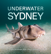 Cover of Underwater Sydney, featuring a Port Jackson shark resting on the sand, with turquoise sea above Cover of Underwater Sydney, featuring a Port Jackson shark resting on the sand, with turquoise sea above