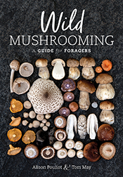 Cover of 'Wild Mushrooming' featuring a photograph of a broad range of different mushrooms laid out in a square upon a textured black background. Cover of 'Wild Mushrooming' featuring a photograph of a broad range of different mushrooms laid out in a square upon a textured black background.