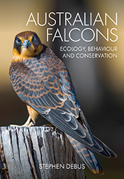 Cover of 'Australian Falcons', featuring a juvenile Australian Hobby perched on a wooden fence post, looking over its shoulder at the viewer. Cover of 'Australian Falcons', featuring a juvenile Australian Hobby perched on a wooden fence post, looking over its shoulder at the viewer.