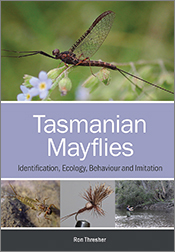 Cover of 'Tasmanian Mayflies' featuring a black spinner mayfly resting on some greenery. Cover of 'Tasmanian Mayflies' featuring a black spinner mayfly resting on some greenery.