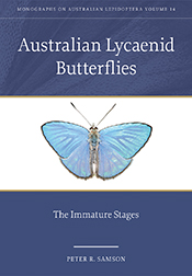 Cover of 'Australian Lycaenid Butterflies', featuring a butterfly with iri