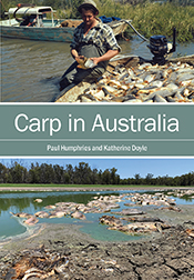 Carp in Australia