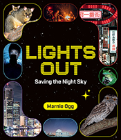 Lights Out