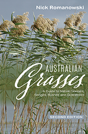 Australian Grasses