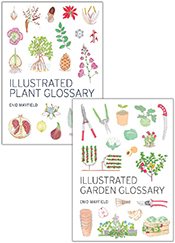 Illustrated Glossaries Set