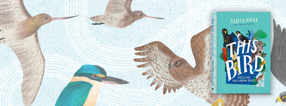 Discover the remarkable Australian birds in your backyard, local parks and streets