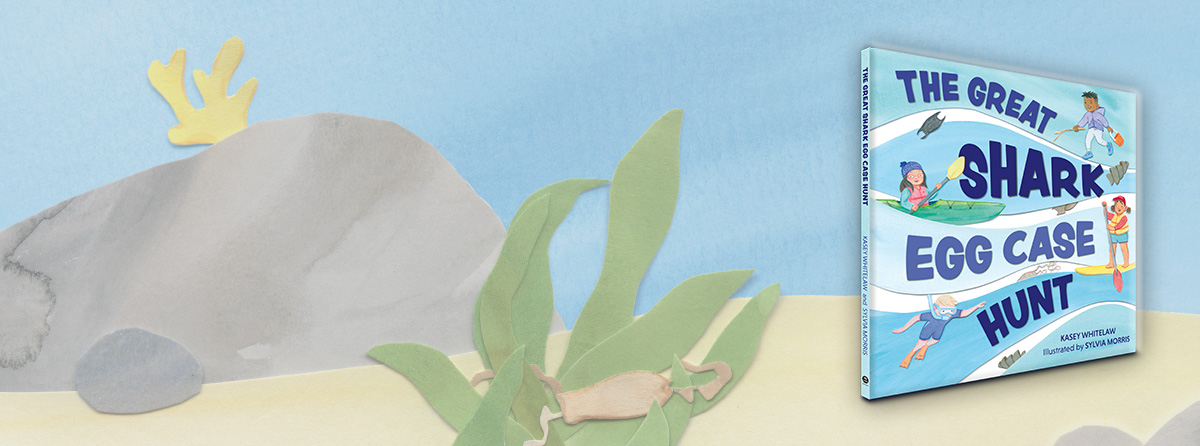 Join young citizen scientists to hunt for weird and wonderful shark egg cases