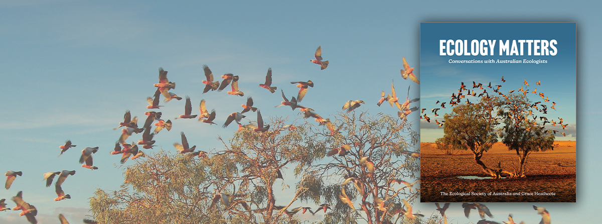 Through essays and stunning photos, ecologists share why nature truly matters.