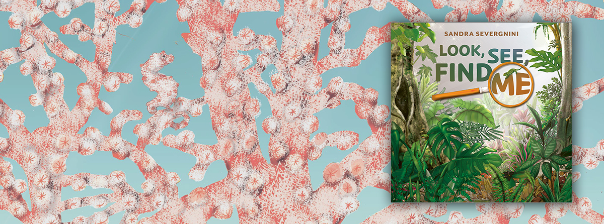 Explore the world of animal camouflage and find the creatures hiding on each page!