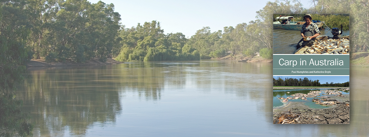 The evolution, spread and significance of carp, and its problematic proliferation