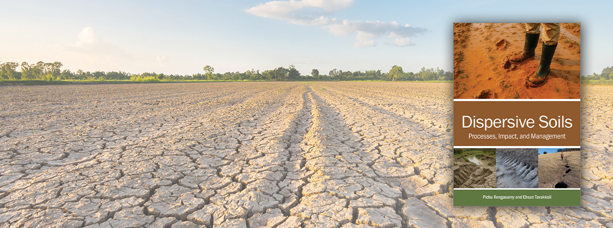 Establishs principles for diagnosis, prevention and remediation