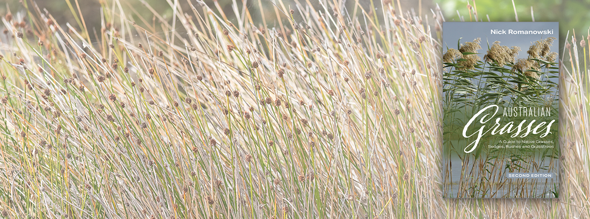 The illustrated guide to 270 species and forms of Australian grassy flora