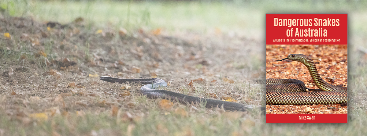 Field guide to Australia's 141 species of venomous terrestrial and marine snakes