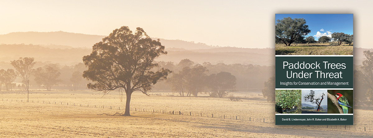 A guide for landholders and everyone interested in the conservation of paddock trees