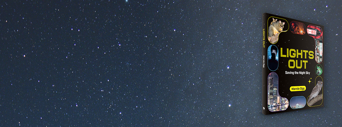 Get enlightened about light pollution and what we can do to help save our night sky